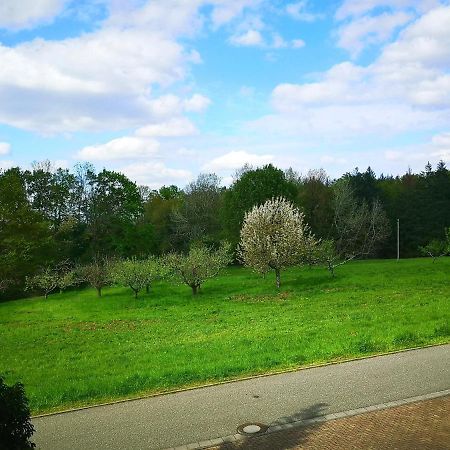 Ein Appartement Und Ein Komfortzimmer In Malsch, Zwischen Karlsruhe, Rastatt Und Baden-Baden Malsch  Dış mekan fotoğraf