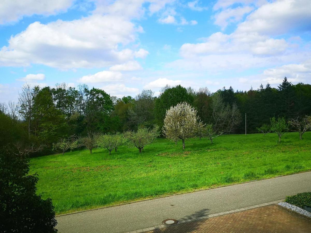 Ein Appartement Und Ein Komfortzimmer In Malsch, Zwischen Karlsruhe, Rastatt Und Baden-Baden Malsch  Dış mekan fotoğraf